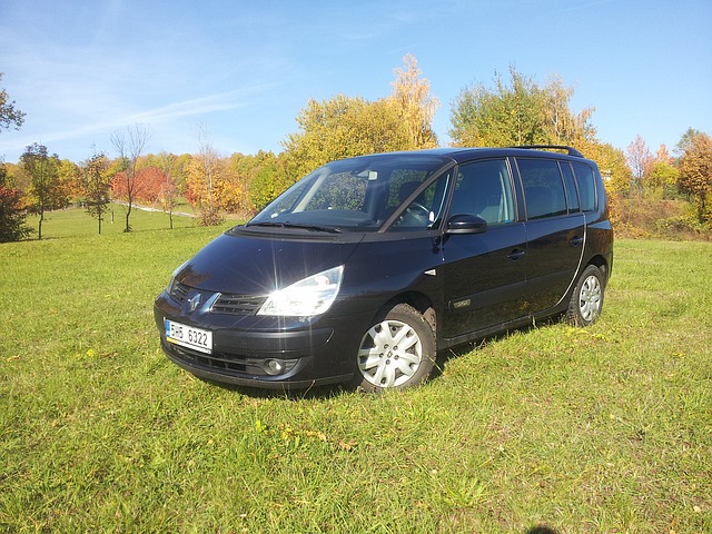 auto renault